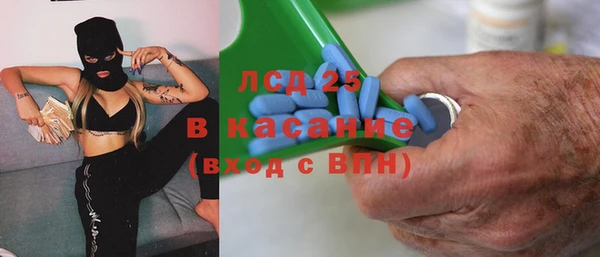 индика Беломорск