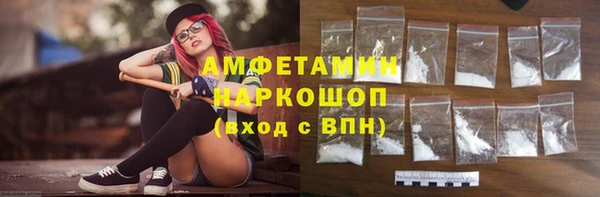 индика Беломорск