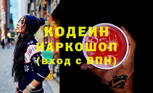 индика Беломорск