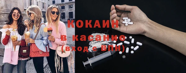 индика Беломорск