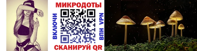 mega сайт Невель Галлюциногенные грибы GOLDEN TEACHER